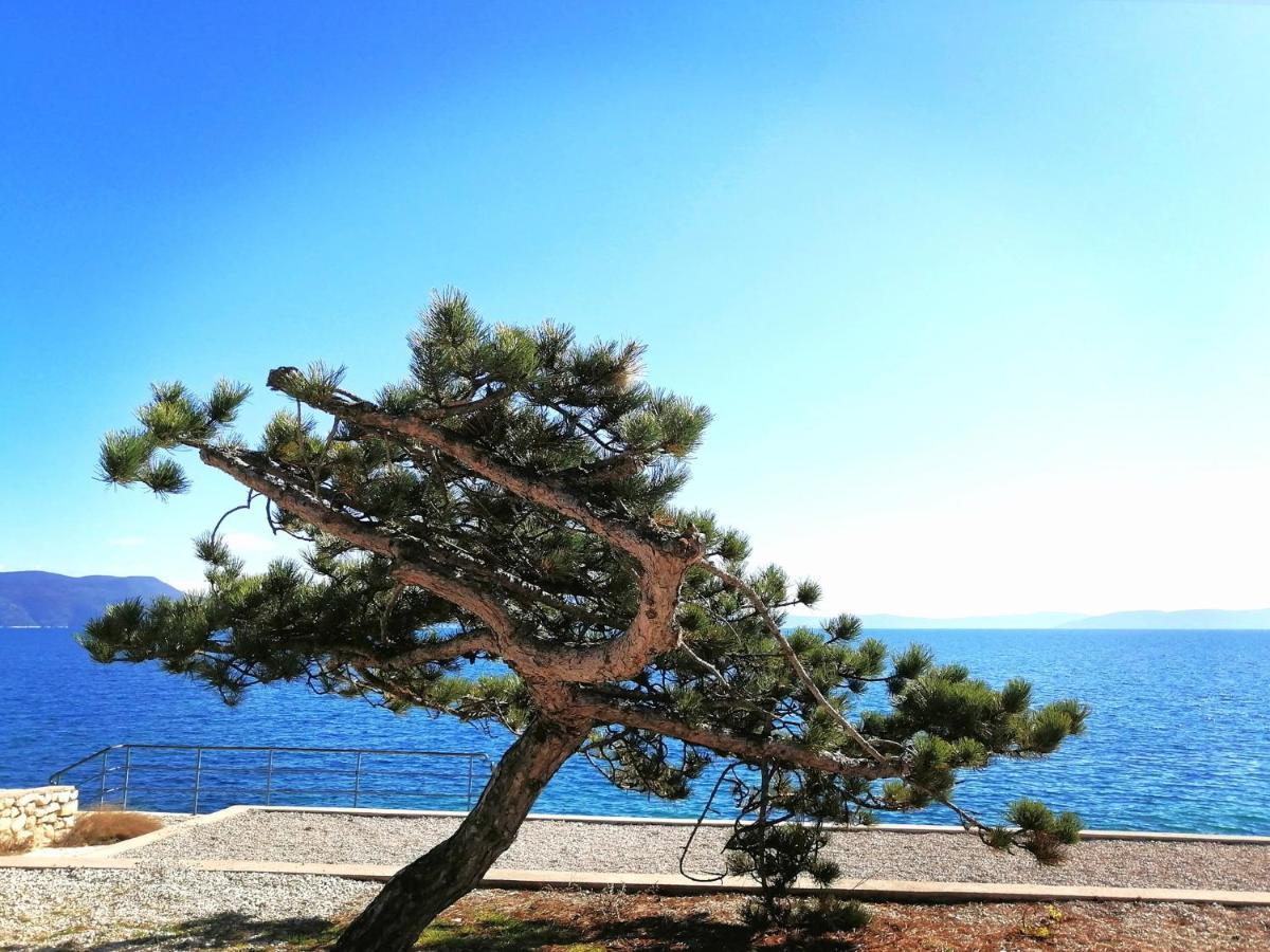 Studio Apartment Michelle - Intermezzo With Sea View Rabac Exterior photo